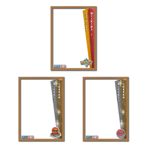 1992-93 Fleer Basketball Blank Template
